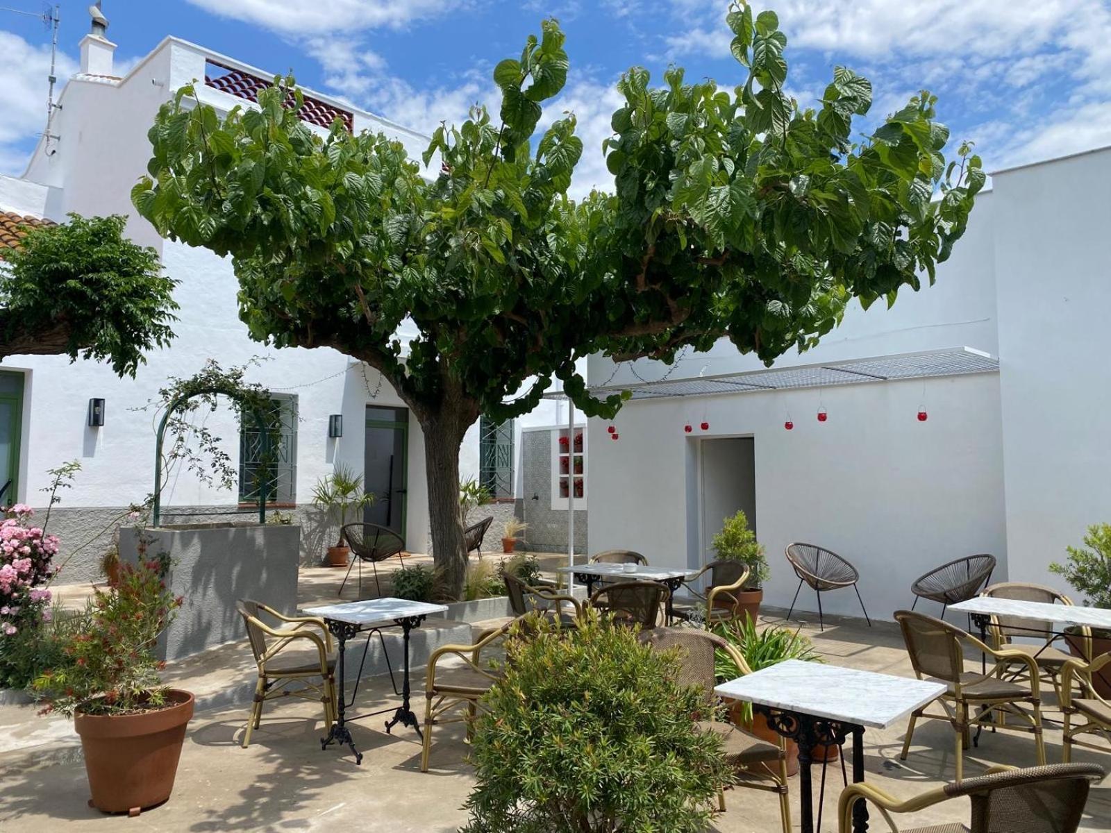 Hotel Les Filles Deltebre Exterior foto